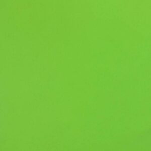10861 - MINT GREEN PONGEE LINING