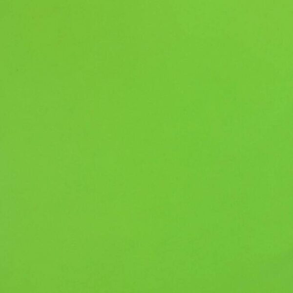 10861 - MINT GREEN PONGEE LINING