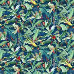 Macaw Midnight