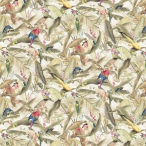 Macaw Parchment