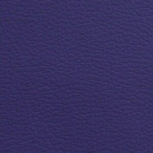 P0536 - PURPLE Cruz