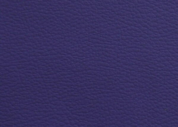 P0536 - PURPLE Cruz