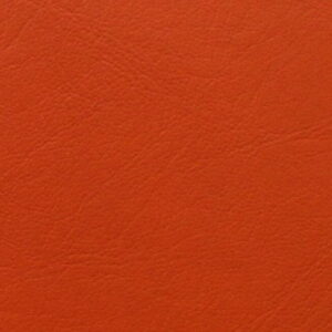 P6123 - ORANGE Cruz