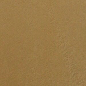 PCGO - GOLD Cruz