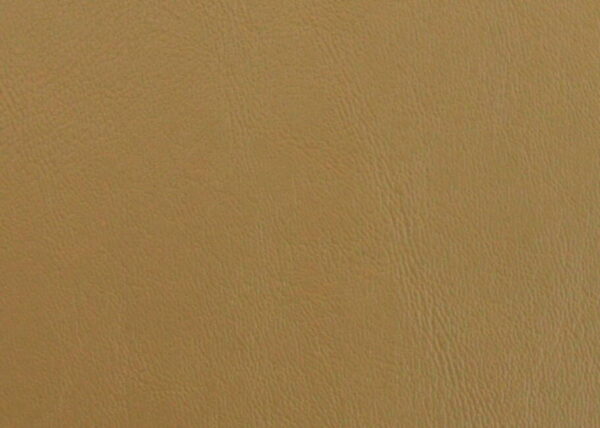 PCGO - GOLD Cruz