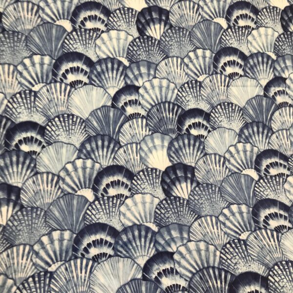 SEASHELL MINI MATT PRINT