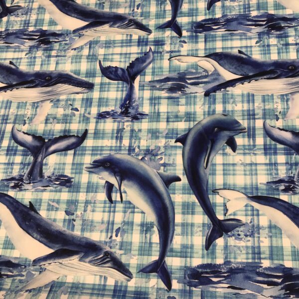 DOLPHIN MINI MATT PRINT