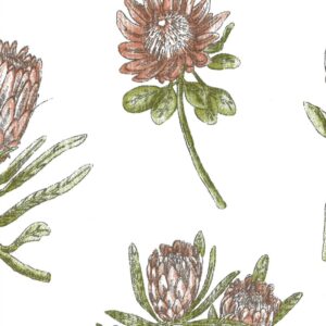 1XC033717 Protea Cotton Canvas Expressions
