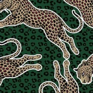 CHETULUX JAMII PRINT