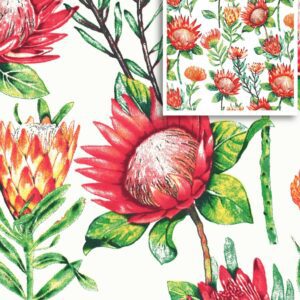 Fynbos Proteas