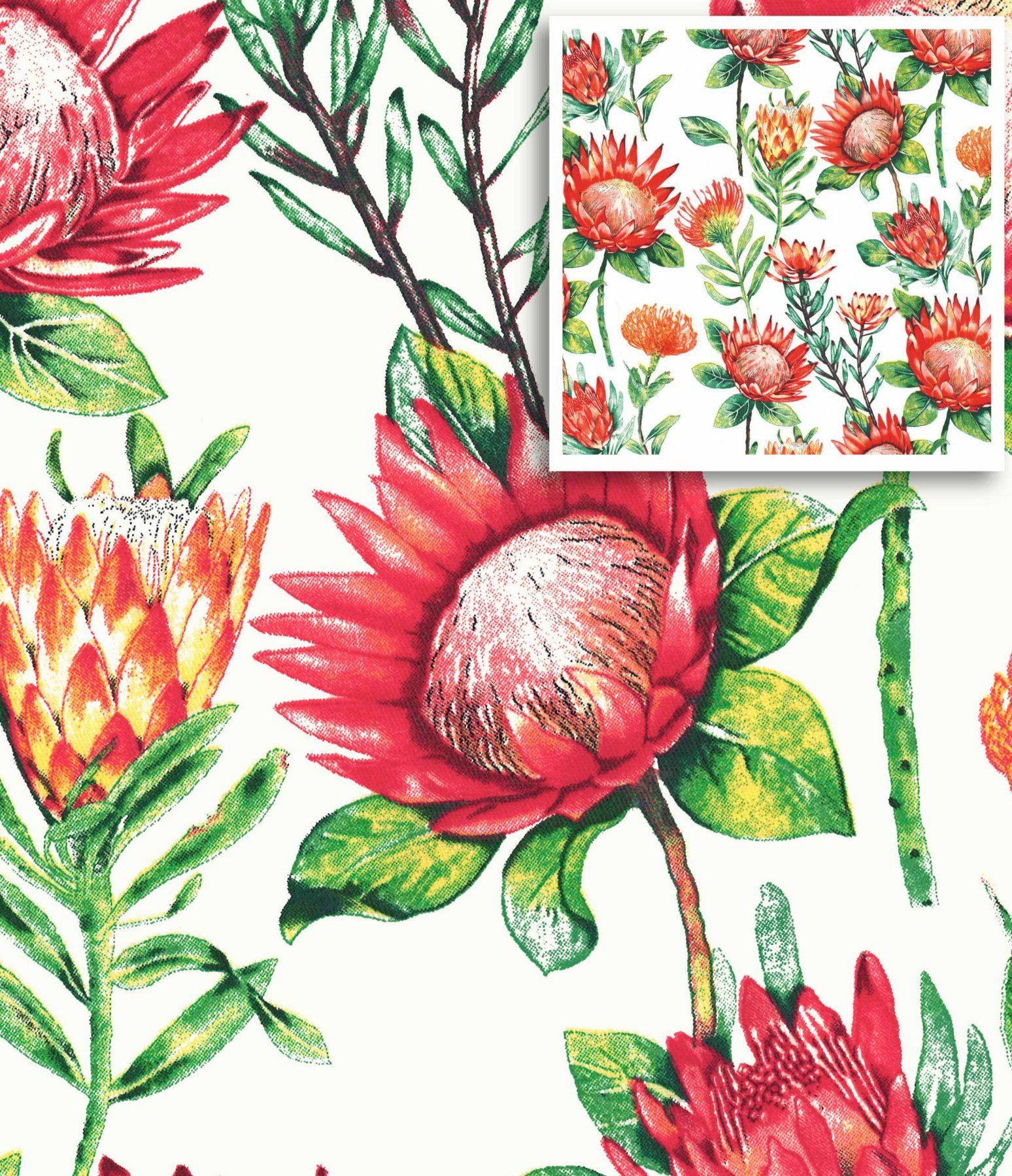 Fynbos Proteas